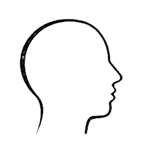 Dialogus product image 2