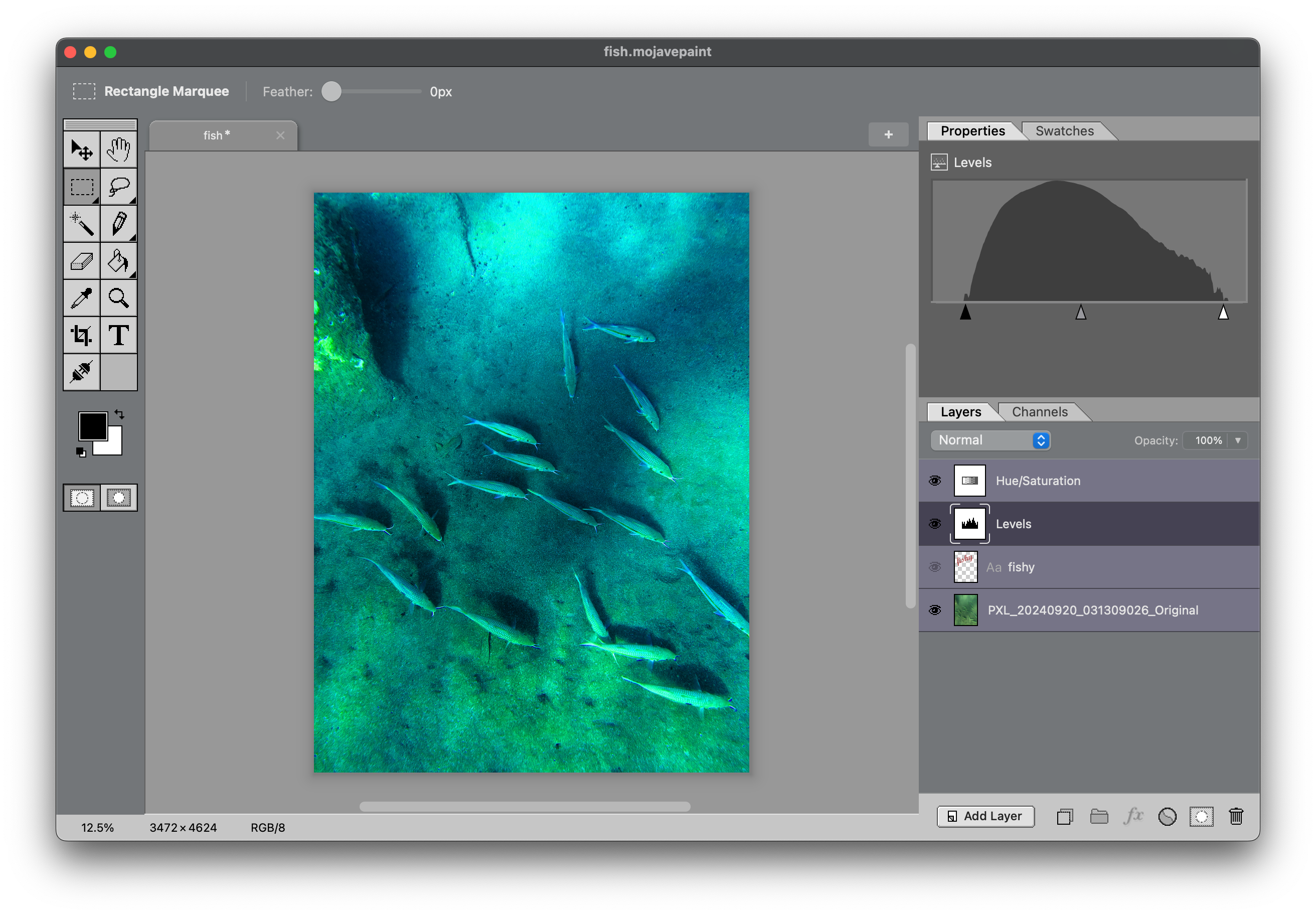 Mojave Paint product image 3