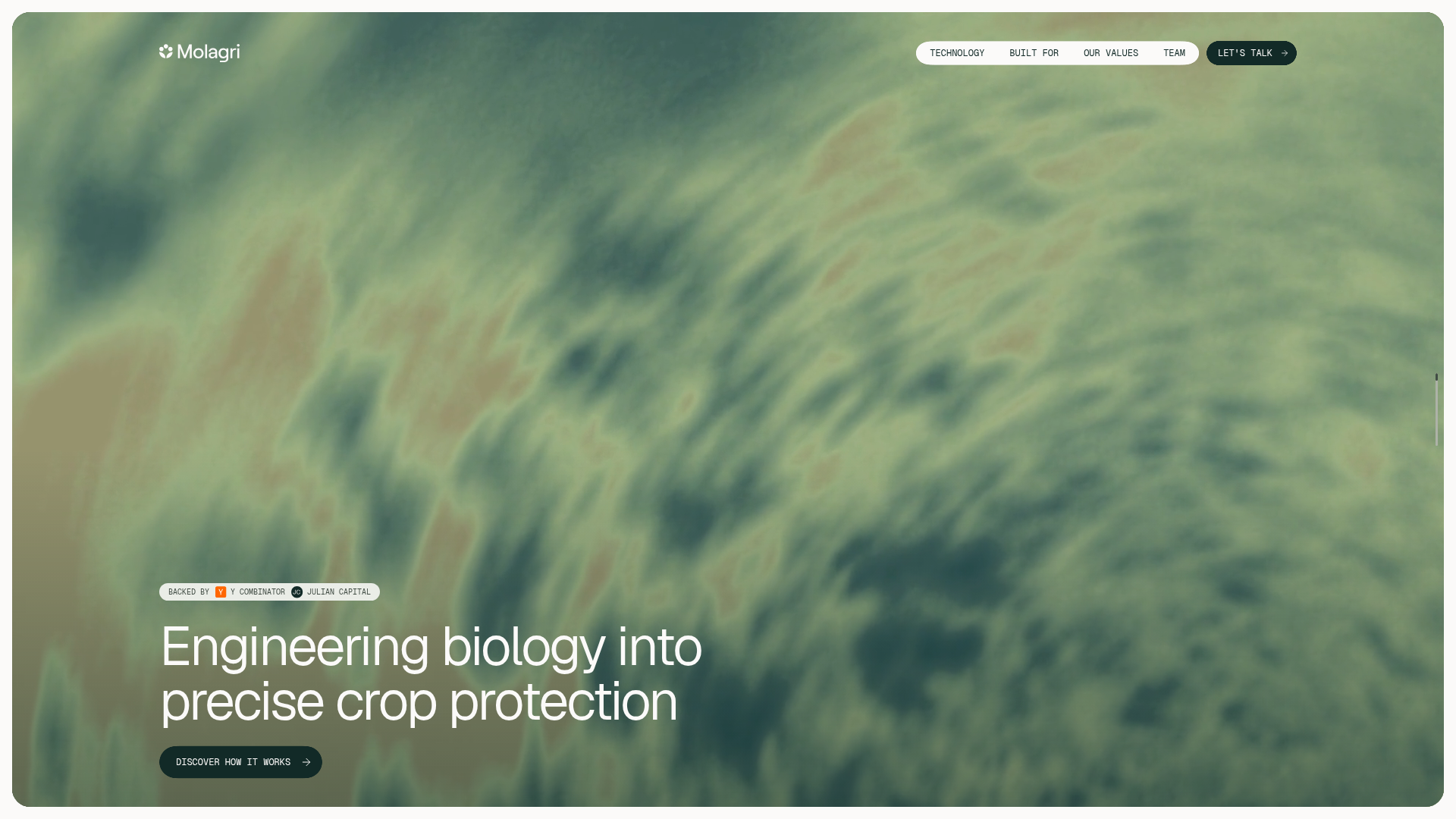 Molagri product image 1